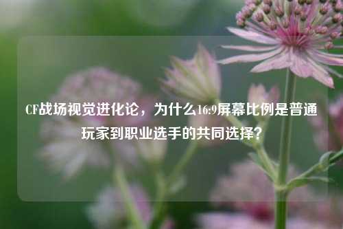 CF战场视觉进化论，为什么16:9屏幕比例是普通玩家到职业选手的共同选择？