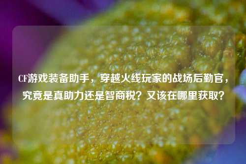 CF游戏装备助手,穿越火线玩家的战场后勤官,究竟是真助力还是智商税?又该在哪里获取?