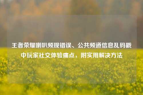王者荣耀喇叭频现错误、公共频道信息乱码戳中玩家社交体验痛点，附实用解决方法