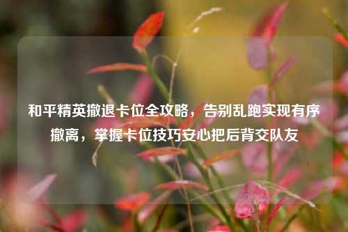 和平精英撤退卡位全攻略,告别乱跑实现有序撤离,掌握卡位技巧安心把后背交队友