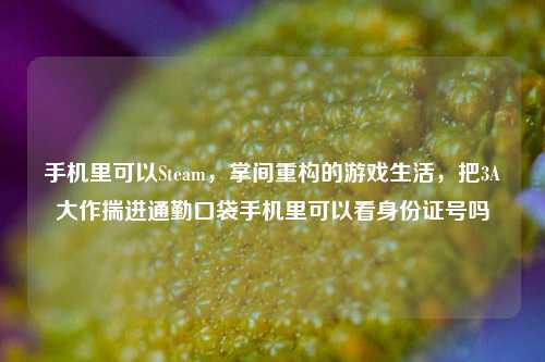 手机里可以Steam，掌间重构的游戏生活，把3A大作揣进通勤口袋手机里可以看身份证号吗