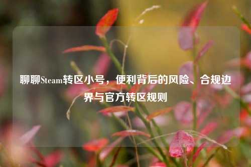 聊聊Steam转区小号，便利背后的风险、合规边界与官方转区规则