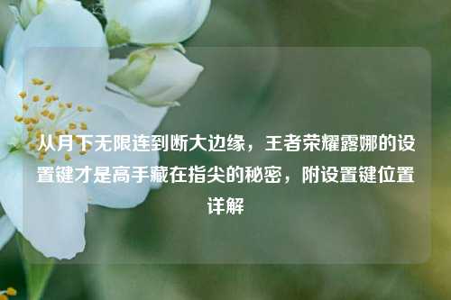 从月下无限连到断大边缘，王者荣耀露娜的设置键才是高手藏在指尖的秘密，附设置键位置详解