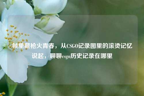 帧里藏枪火青春,从CSGO记录图里的滚烫记忆说起,聊聊csgo历史记录在哪里