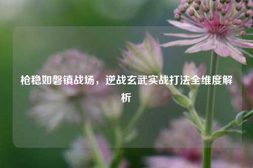枪稳如磐镇战场,逆战玄武实战打法全维度解析