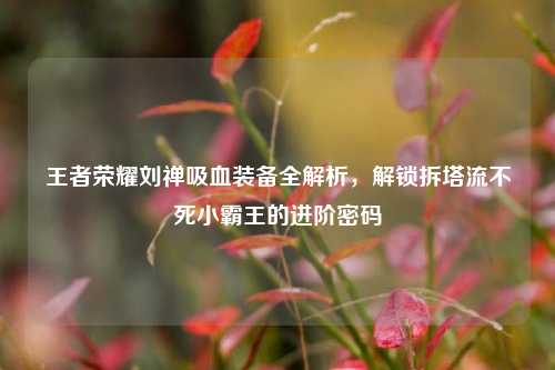王者荣耀刘禅吸血装备全解析,解锁拆塔流不死小霸王的进阶密码